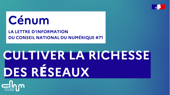 Visuel lettre d'information du Conseil - Cultiver la richesse des réseaux